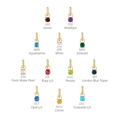 CharmFlex™ Convertible Birthstone Charm